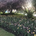 maxinewisewrites avatar