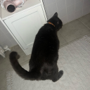 maxisamagician avatar