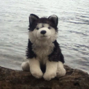 maxissupercool avatar