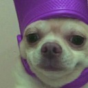 maxreyjimistron avatar