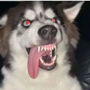 maxxie-or-smth avatar