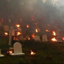 may-be-alive43 avatar