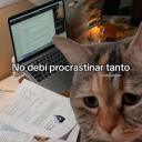 may-chocolatte avatar