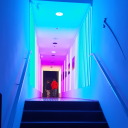 mayagokuderagrossman avatar