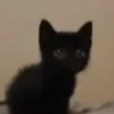 mayaheemayahaa avatar