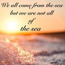 mayastormborn avatar