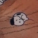 mayb-thistime avatar