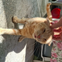 maybe-i-just-dont-believe avatar