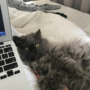 maybe-oneday-love avatar