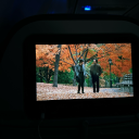 maybe-tomorrow avatar