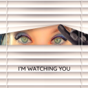 maybe-unicorn avatar