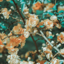 maybeanother-time avatar