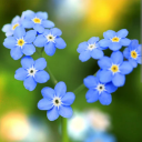 maybeilosttheplot avatar