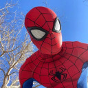 maybeimspiderman avatar