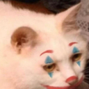 maybelaterbabe avatar