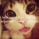 maybemidlertidig avatar