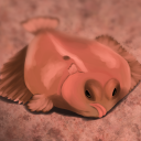 maybetheflattestfish avatar