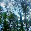 maybewejusthavin2muchfun avatar