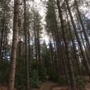 maycauseirritation avatar