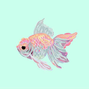 maydayatthedisco182 avatar