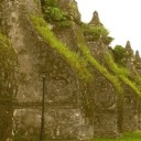 mayflyrecords avatar