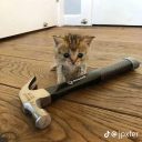 maymaysstuffsstuff avatar