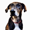 maymuffinbatter avatar