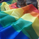 mayonaisseontoast avatar