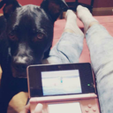 mayor-of-starfall avatar