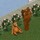 maythebear avatar