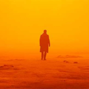 maytheforcewitnyou avatar