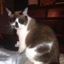 maythevoidnotscreamback avatar