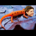 mazerunner-n00t avatar