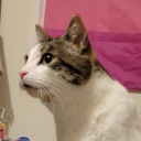 mblerghitsmere avatar