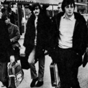 mccartneys-eyebrows avatar