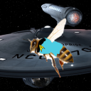 mccoythirsthoneybee avatar