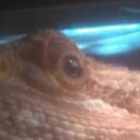 mcdonalds-official avatar