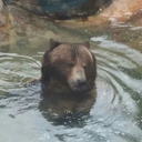 mcmxc-iammurphyslaw avatar