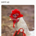 mcnaytursauce avatar