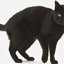 mcsaatchicorporate avatar