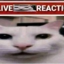 mcytblrsmeowmeowbracket avatar