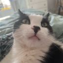 mcytshipsandmore avatar