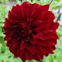 me-240-forfun avatar