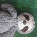 me-and-my-sloth avatar