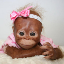 me-inferences avatar