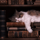 me-writes-prompts avatar