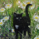 meadowdovewood avatar