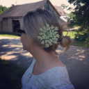 meadowlighthill avatar