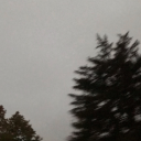 meadowoftears avatar