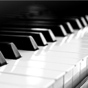 meadowsandstarlight avatar